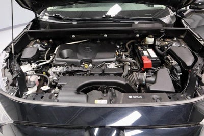 2019 Toyota RAV4 Limited AWD (GS)